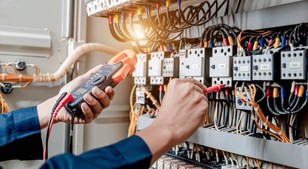 Best Electric Panel Repair  in Berkshire Lakes, FL